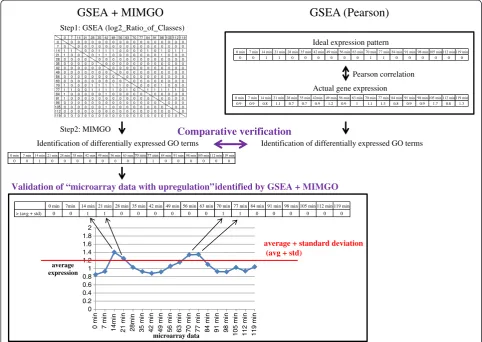 Figure 2 Validation-flow chart of GSEA + MIMGO. Eighteen row- and 18 column-indices labeled by time-points (0, 7, 14, etc.) in a matrix ofstep 1 show the time-course microarray data