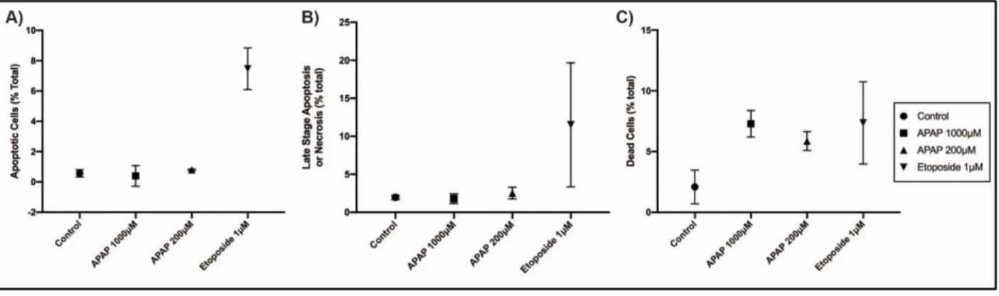 Figure 5. Analysis of apoptotic, late-stage apoptotic/necrotic, and dead SVneo cells A) Percent  of apoptotic cells as characterized by being FITC Annexin-V positive and PI negative, B) )  Percent of late stage-apoptotic or necrotic as characterized by bei