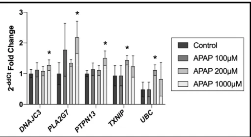 Figure 6. Gene expression analysis of APAP treated placental cells shows 5 significant genes  differentially expressed when compared to control group (* indicates significance)  