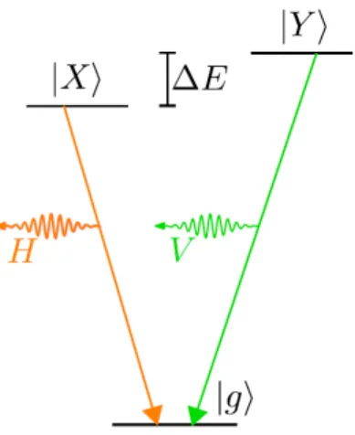Figure 1.2: Schematic representation of the polarization non-degenerate modes of the quantum dot