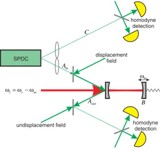 FIG. 1 (color online). Proposed setup. The spontaneous para- para-metric down-conversion source (SPDC) creates a (microscopic) two-mode squeezed state