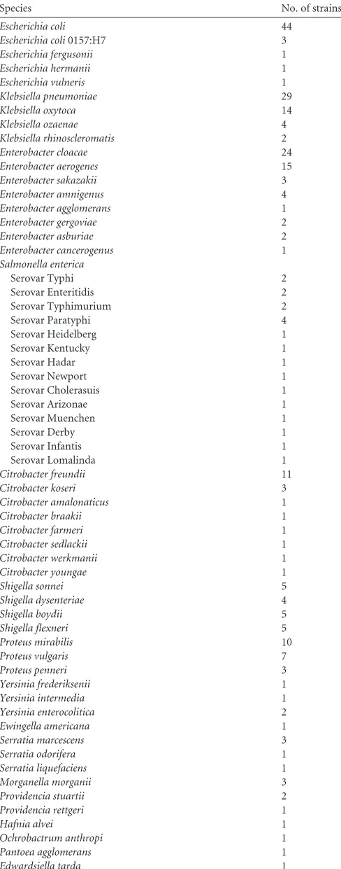 TABLE 1 Enterobacterial species testeda