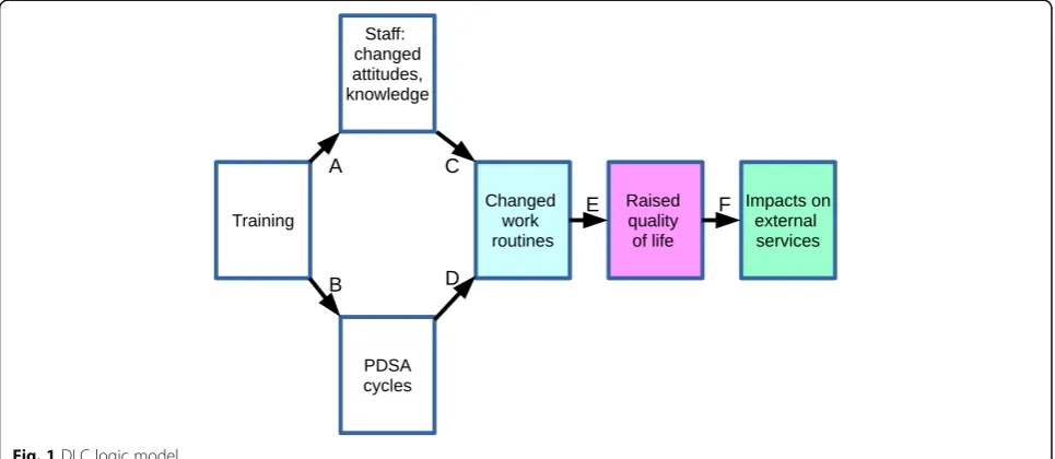 Fig. 1 DLC logic model
