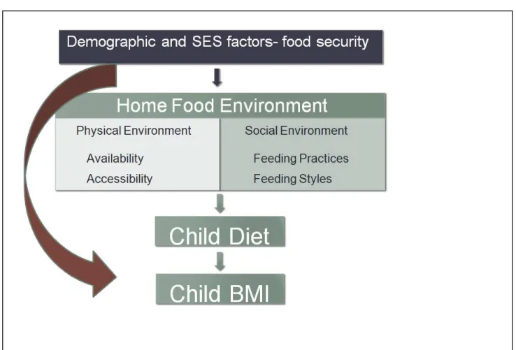 Figure 2.1. Conceptual model of the Home Food Environment  