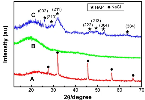 Figure 6 FTIr spectra.