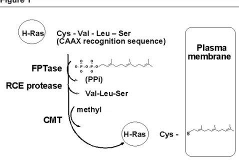 Figure 1Development of farnesyltransferaseinhibitorsOne approach to development of FTIs was the rational