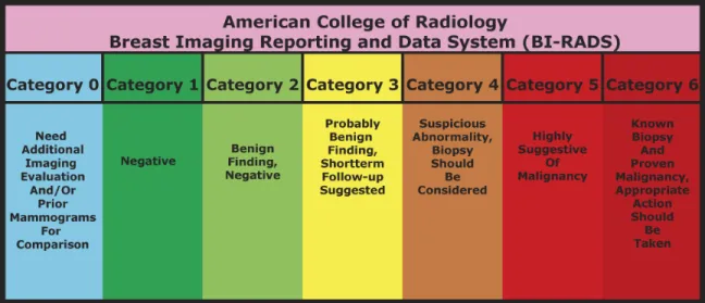 FIGURE 2.8: Breast Imaging Reporting and Data System (BI-RADS) categories 