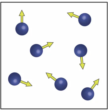 FIGURE 4.3: Protons with randomly distributed magnetic moments 