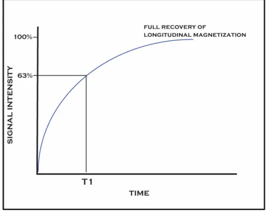 FIGURE 4.7: T1 Longitudinal relaxation curve  The equation governing the behavior of this process is 