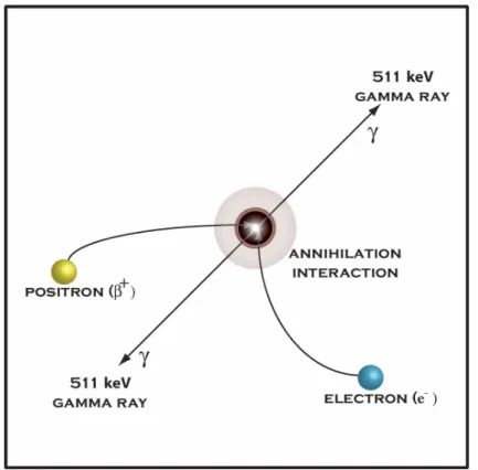 FIGURE 4.9: Annihilation interaction from positron-electron collision  Events such as the motion of the particles at the time of annihilation can cause minor 