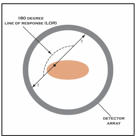 FIGURE 4.10: Coincidence detection in PET imaging 