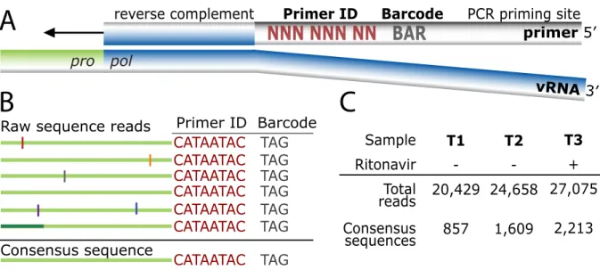 Fig. 2.1 Tagging viral RNA templates with a Primer ID before PCR amplification and  sequencing allows for direct removal of artifactual errors and identifies resampling