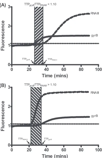 FIG 3 Duplex NASBA assay ampliﬁcation curves for isolates with different agrfunctionalities