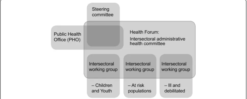 Fig. 1 Organization of the intersectoral process adapted from a visualization produced by PHO