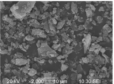 Figure 2 seM micrograph of the original curcumin powders.Abbreviation: seM, scanning electron microscopy.