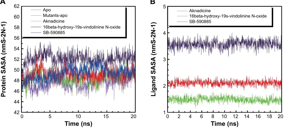 Figure 6 (A) Protein mean square deviation (MsD) and (B) protein gyration radius (gyrate).Note: BraF alone (apo) and BraF(V600e) protein alone (mutants-apo) have different molecular character.