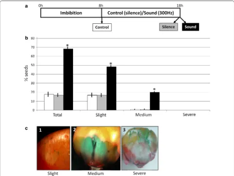 Fig. 3 Effects of sound on the pericarp integrity of maize seeds. a Schematic representation of the samples analyzed