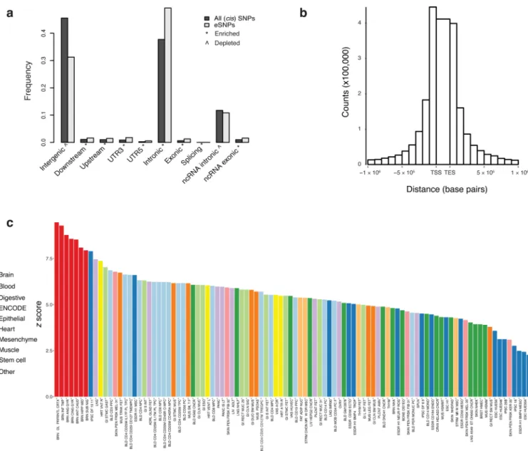 Figure 1. Enrichment of cis-eQTLs in regulatory and other genomic elements