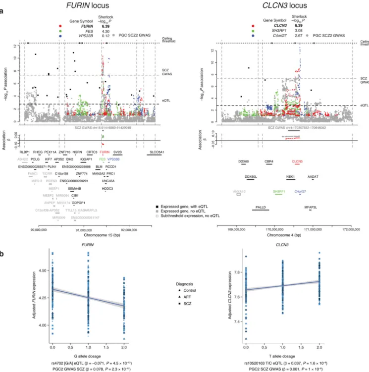 Figure 2. Overlap of GWAS for schizophrenia with eQTL in the DLPFC