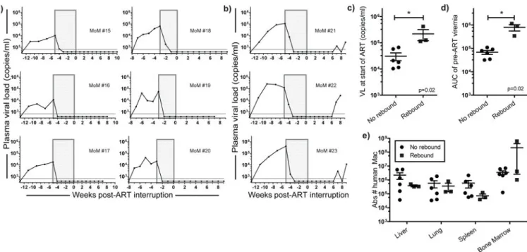 Figure 3. HIV persistence in tissue macrophages during ART