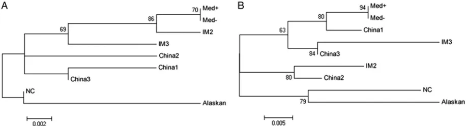 FIG 1 Phylogenetic tree obtained from the alignment of the complete ampliﬁca-from GenBank