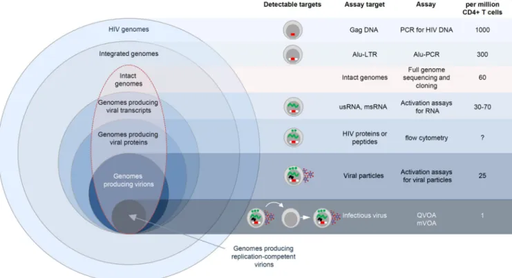 Figure 4. Assays used to quantify HIV persistence on ART