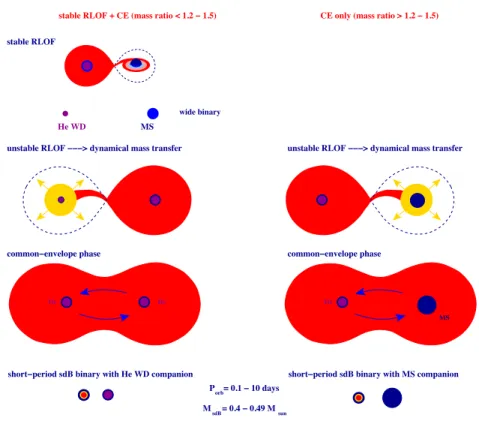 Figure 1. Common-envelope (CE) channels for the production of hot sub- sub-dwarfs. The CE phase can be either the first (right panel) or the second (left panel) mass-transfer phase, producing a tight sdB binary with either a main-sequence or white-dwarf co
