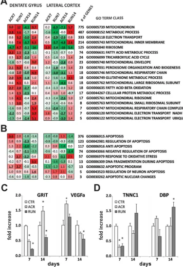 Figure 6: Microarray analysis of dentate gyrus (DG) and lateral entorhinal cortex (LEC): energy metabolism gene classes