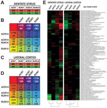 Figure 4: Microarray analysis of dentate gyrus (DG) and lateral entorhinal cortex (LEC): analysis of control (CTR), AICAR (ACR), and voluntary running (RUN) mice after 7 and 14 days of treatment