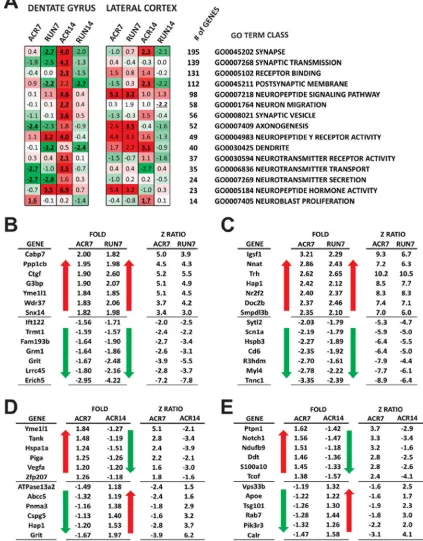 Figure 5: Microarray analysis of dentate gyrus (DG) and lateral entorhinal cortex (LEC): neuronal gene classes