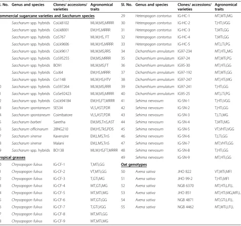 Table 1 List of genotypes belonging to Saccharum complex, tropical grasses and oat used in the present study
