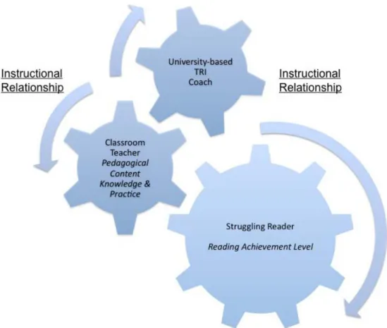 Figure 2. TRI Clinical Coaching and Teaching Model. 