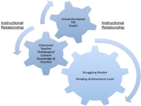 Figure 2. TRI Clinical Coaching and Teaching Model. 