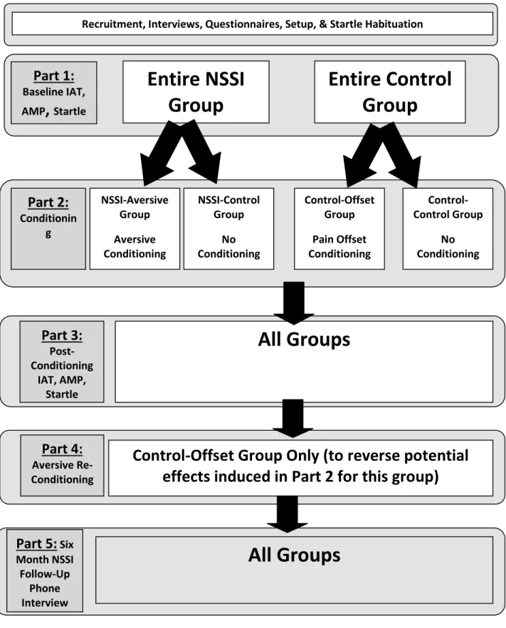 Figure 2. Overview of Experimental Procedure. 