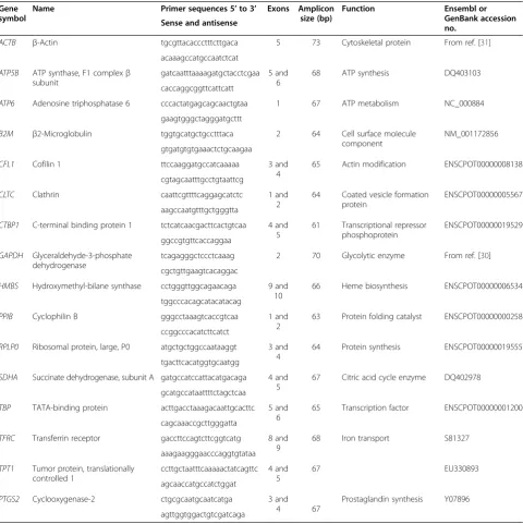 Table 4 Guinea pig reference and target gene information