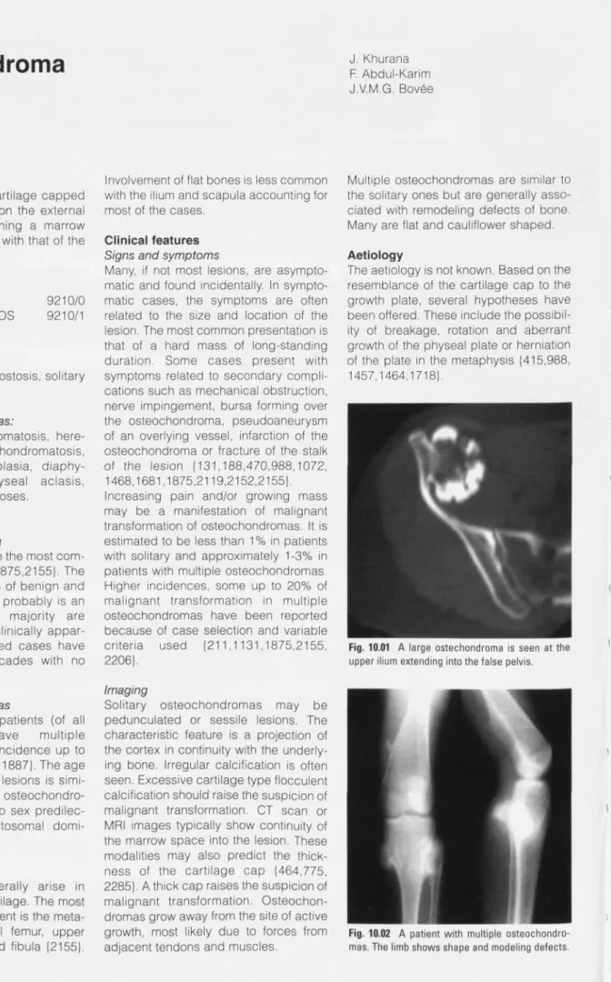 Fig. 10.01 A large ostechondroma is seen at the upper ilium extending into the false pelvis.