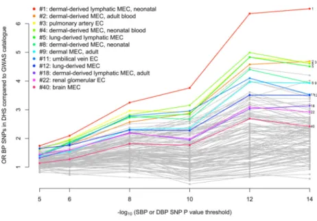Figure 2. Enrichment of DNAse hypersensitive sites among BP loci in different cell-types Enrichment analyses of SBP or DBP associated loci according to discovery P value using  narrow peaks (panel A) or broad peaks (panel B)