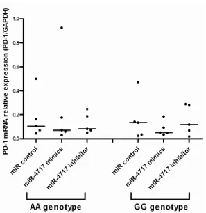 Figure 3: Effects of miR-4717 mimics or miR-4717 inhibitor on PD-1 mRNA expression in lymphocytes from chronic HBV patients with different rs10204525 genotypes assessed by real-time quantitative PCR
