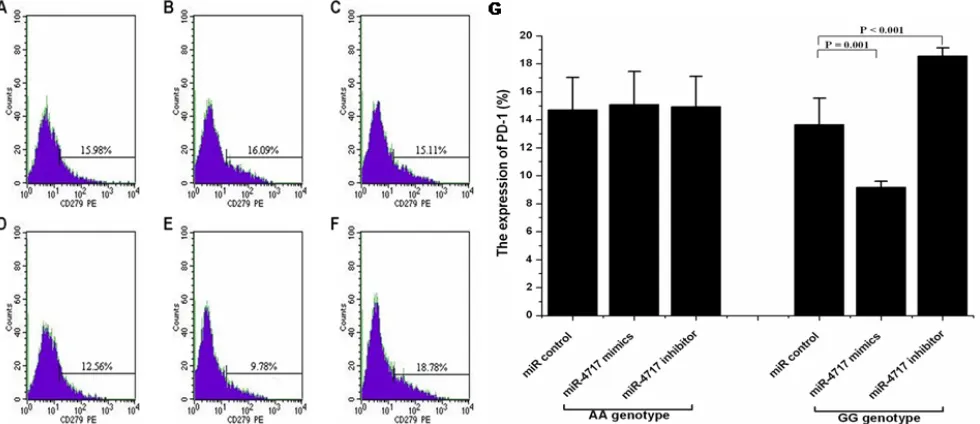 Figure 4: Effects of miR-4717 mimics or miR-4717 inhibitor on PD-1 protein expression on lymphocytes from chronic HBV patients with different rs10204525 genotypes assessed by flow cytometry