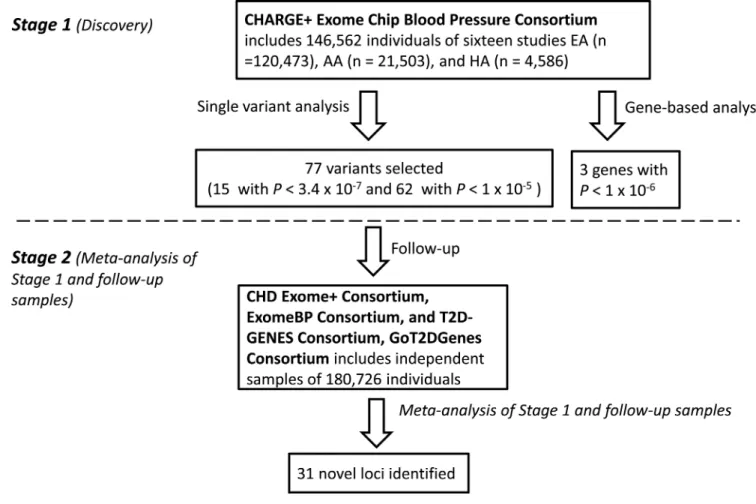Figure 1. Overall study design