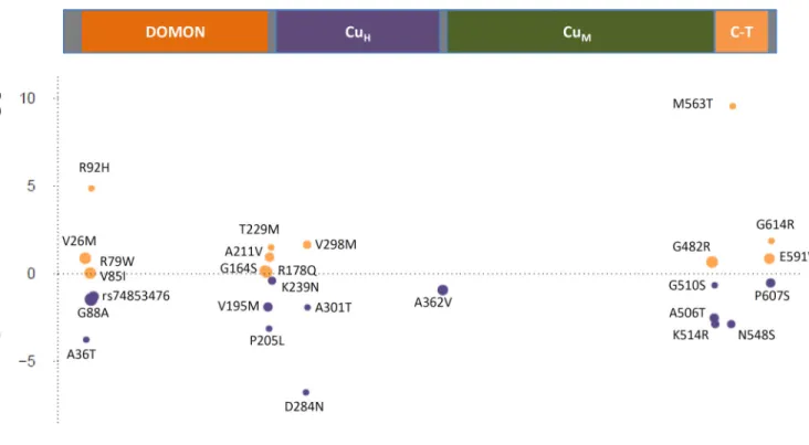 Figure 3. DBH Gene: Rare variants associated in aggregate with mean arterial pressure The DBH protein (617 amino acids) contains the dopamine β-monooxygenase N-terminal  (DOMON) domain, the catalytic core (the Cu H  and Cu M  domains) and the C-terminal (C