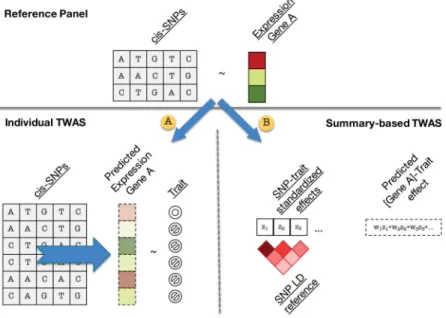 Figure 1. Overview of methods