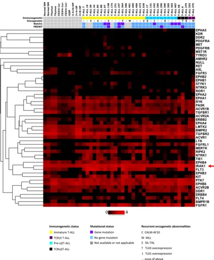 Figure 1: Kinases expression profiles of human T-ALL samples and thymic subpopulations