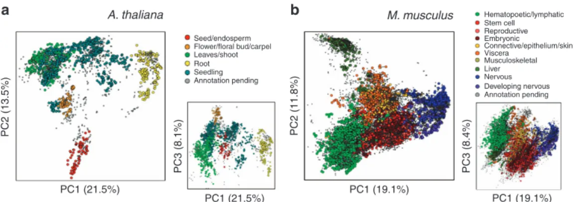 Figure 1 | The primary drivers of transcriptomic variation are developmental stage and tissue