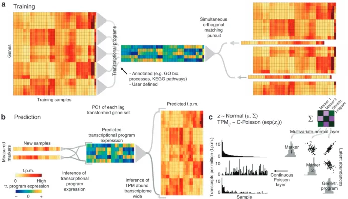 Figure 2 | Tradict’s algorithmic workﬂow. (a) During training, the transcriptome is ﬁrst quantitatively summarized in terms of a collection of a few hundred, biologically comprehensive transcriptional programs