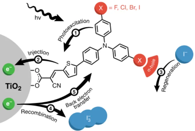 Fig. 1 Dye structure and an overview of interfacial electron transfer reactions. Molecular representation of Dye-X on a titanium dioxide (TiO 2 ) particle (not drawn to scale) where different halogen substituents (X = F, Cl, Br, or I) are bound to the TPA 