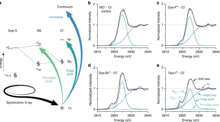 Fig. 2 Chlorine K-edge XAS spectra of the Dye-X series. a Schematic of molecular orbitals involved in halogen bonding and allowed transitions upon excitation of the Cl 1s electron by synchrotron X-ray radiation