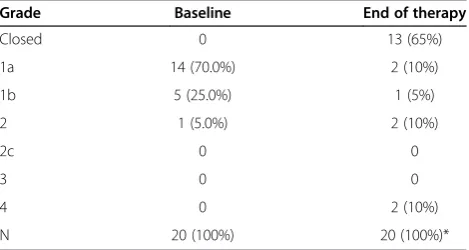 Table 2 Patient and wound characterisation at baseline