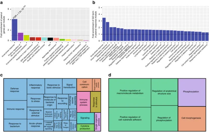 Fig. 4 Identi ﬁcation and characteristics of the peanut response coexpression module. a Fold enrichment of peanut genes (P < 0.005) in the 13 coexpression modules identi ﬁed by WGCNA, ranked from highest enrichment to lowest