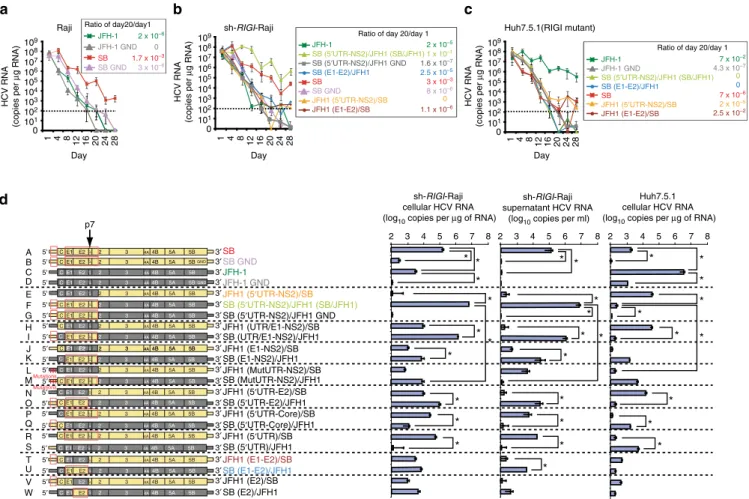 Figure 1 | Genetic determinants of tissue tropism of HCV SB and JFH1 viruses. (a–c) HCV virus RNA in the parental Raji cells (a), RIG-I knockdown Raji (sh-RIGI-Raji) cells (b) or Huh7.5.1 cells (c)
